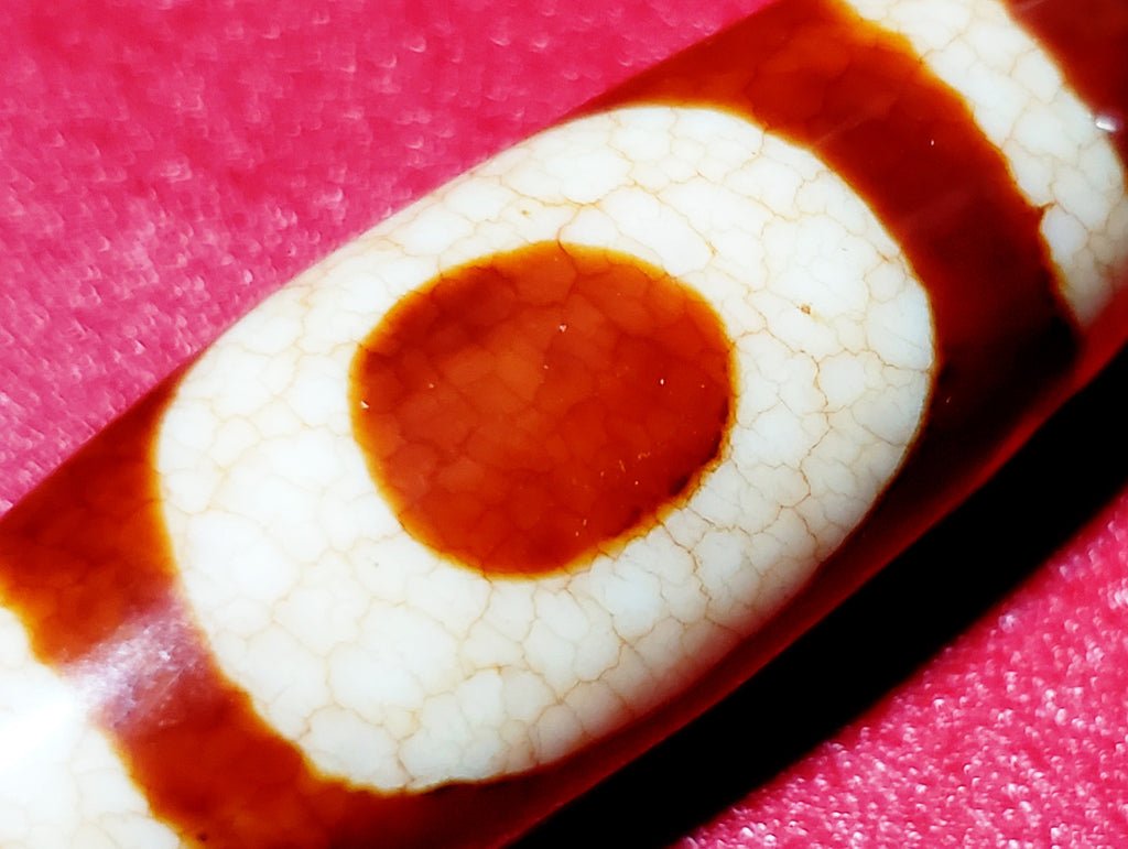 約15×41ｍｍ前後