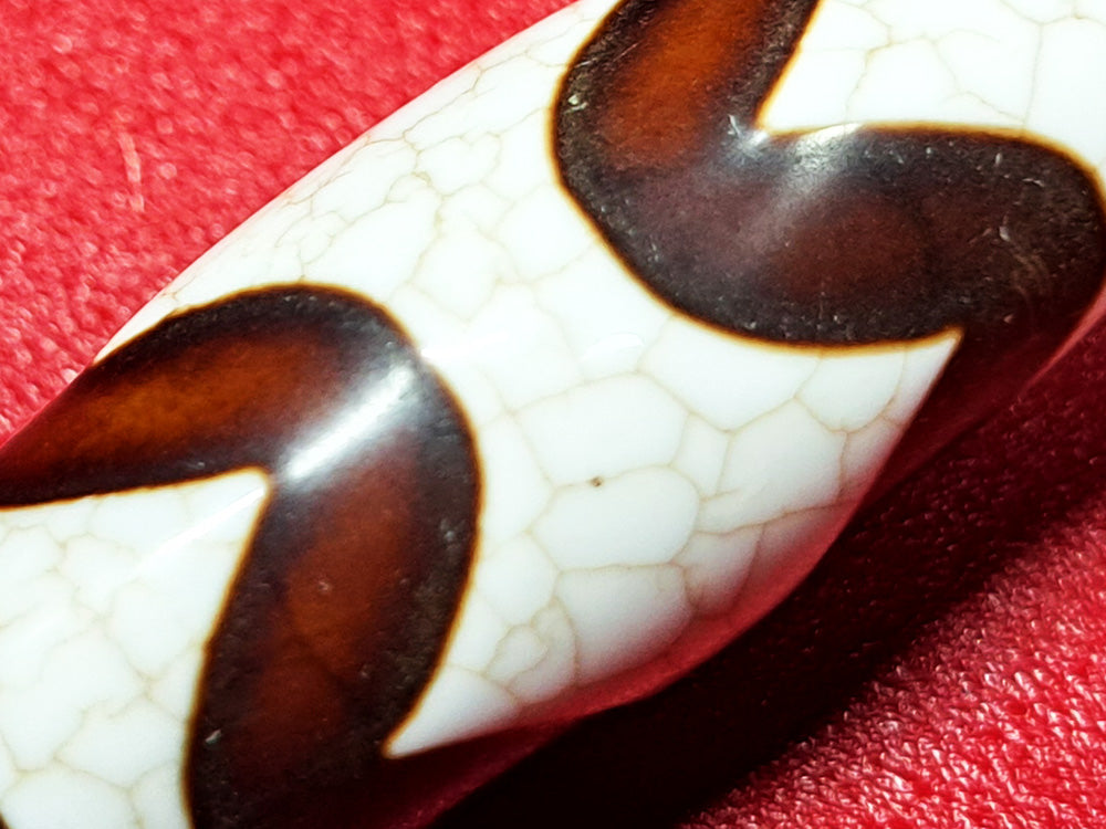 約40×14mm前後