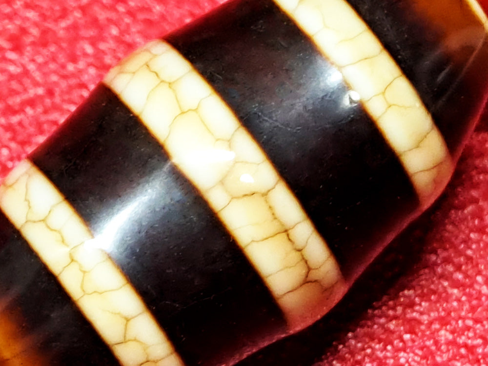 約25×13mm前後