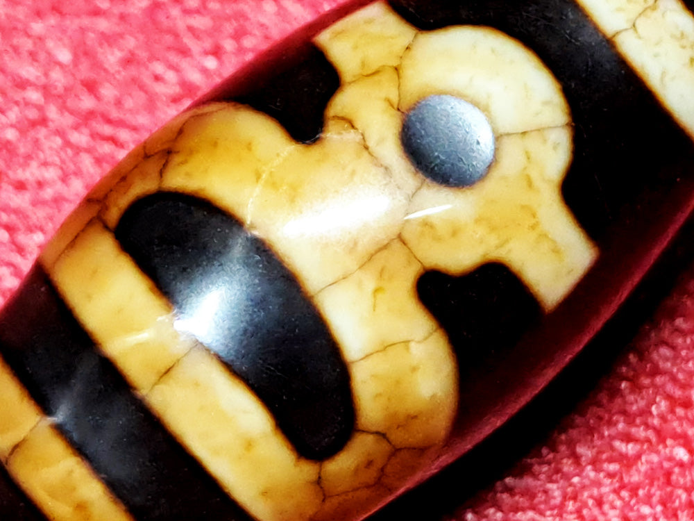 約25×13mm前後