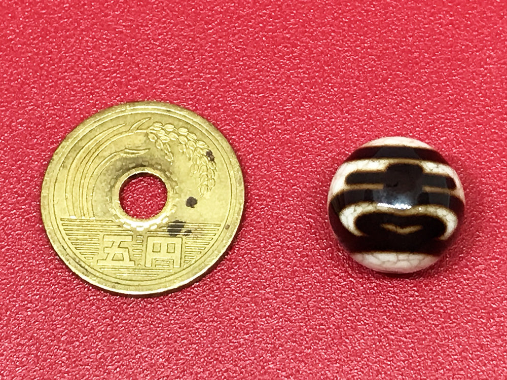 希少★願い事を叶える・厄除け・家庭運★ 水蓮花天珠・龍紋亀甲長嘉天珠 希少☆願い事を叶える・厄除け・家庭運☆ 水蓮花天珠・龍紋亀甲